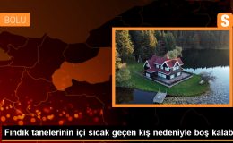 Kışın Sıcak Havaları Baharda Don Olayları Takip Edecek