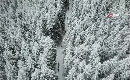 Kar altında mest eden güzellik: Gümüşhane-Şiran sınırındaki Tersun Dağı’nda doğa yürüyüşü